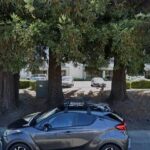 All American Printing - Petaluma