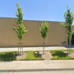 Newtone Sign, Printing & Gift - Folsom