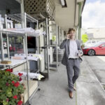 Healdsburg Blue - Healdsburg