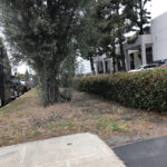 Massive Prints - Compton