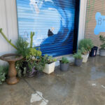 Bonez Marketing - Ramona