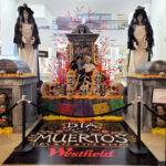 Props2C - San Francisco