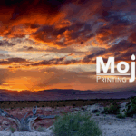Mojave Printing Solutions - Victorville