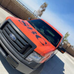 Crisp Imaging - Hesperia