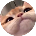 Andy Andy
