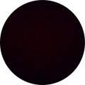 Daanish Rashid