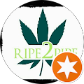 Ripe2Pipe Harvesting Scanner